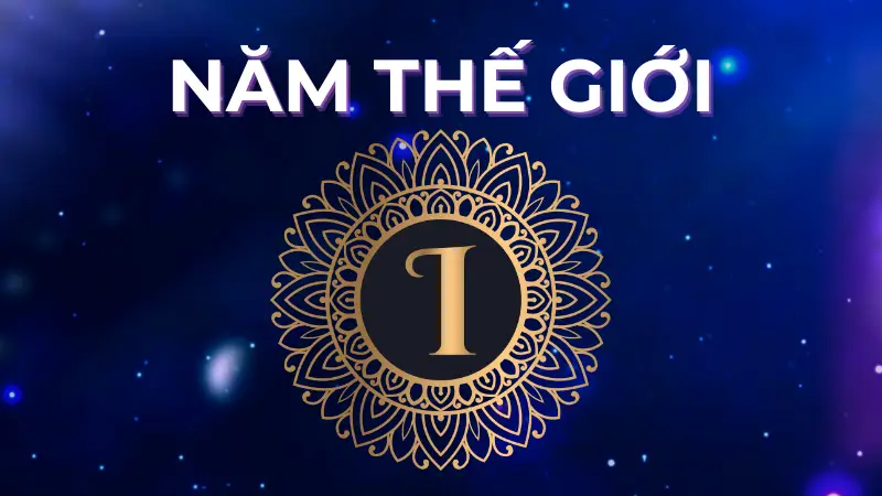 Năm thế giới số 1 trong năm 2026 có điều gì đặc biệt?