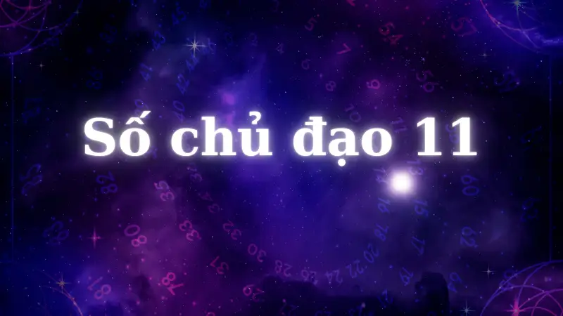 Bạn có thuộc số chủ đạo 11? Khám phá sự thật khiến ai cũng bất ngờ