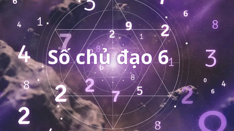 Số chủ đạo 6 là gì? Giải mã bí ẩn về tính cách, tình yêu và sự nghiệp
