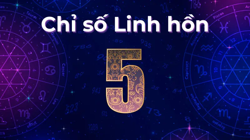 Người có chỉ số linh hồn 5 sẽ thành công trong lĩnh vực nào?