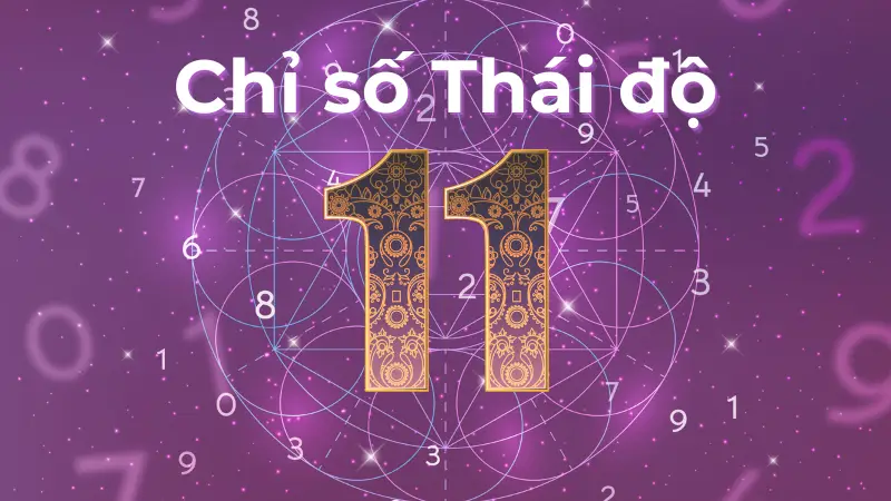Giải mã Chỉ số thái độ 11 về tính cách, tình yêu và sự nghiệp