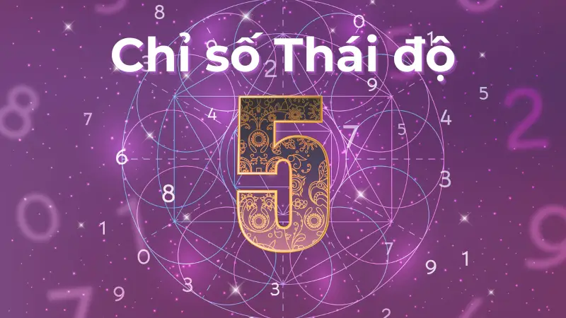 Giải mã chỉ số thái độ 5 tất cả về Tình yêu, Sự nghiệp, Vận mệnh