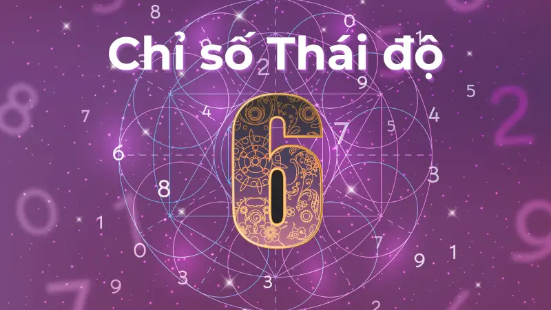 Chỉ số thái độ 6 bí mật để yêu thương mà không thấy kiệt sức