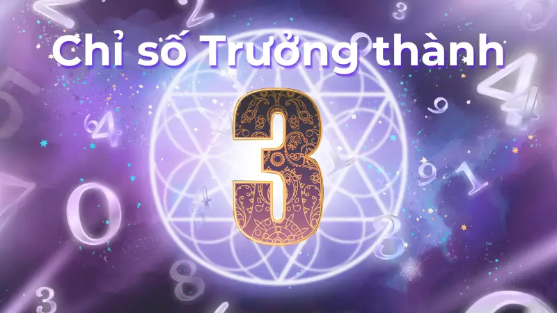Chỉ số trưởng thành 3: Liệu bạn có tìm lại được niềm vui sống?