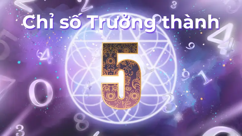 Chỉ số trưởng thành 5: Liệu cuộc đời có nở hoa ở tuổi trung niên?